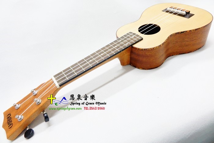 UkuleleS110
